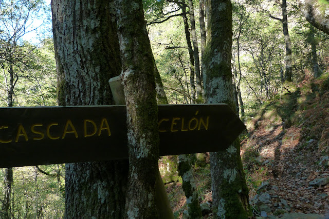 Cascada Celón - Ruta del Silencio Cascada Celón - Ruta del Silencio