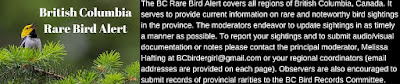 BC Rare Bird Alert