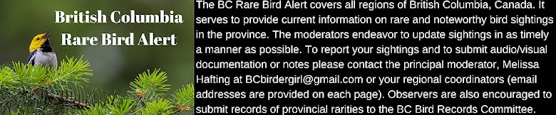 BC Rare Bird Alert