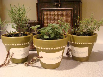 Inside Heather's Home: Spice Garden in the Kitchen