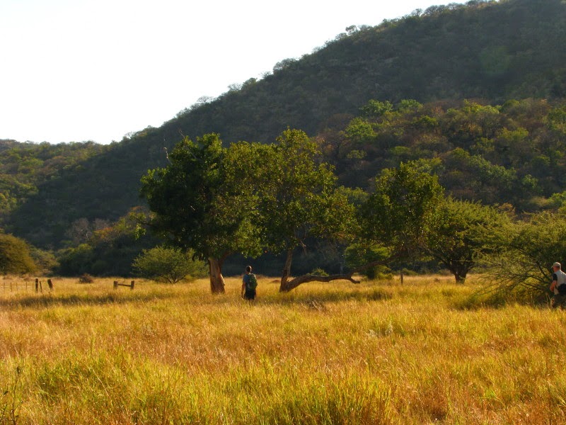 Otavi bergland