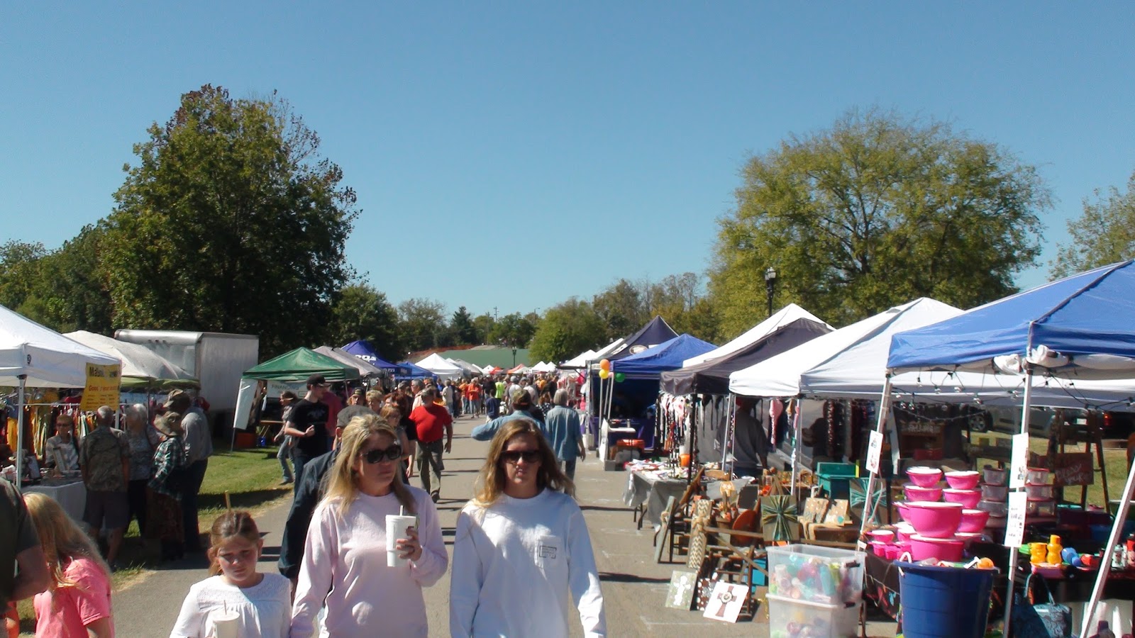 Goats, Music and More Festival