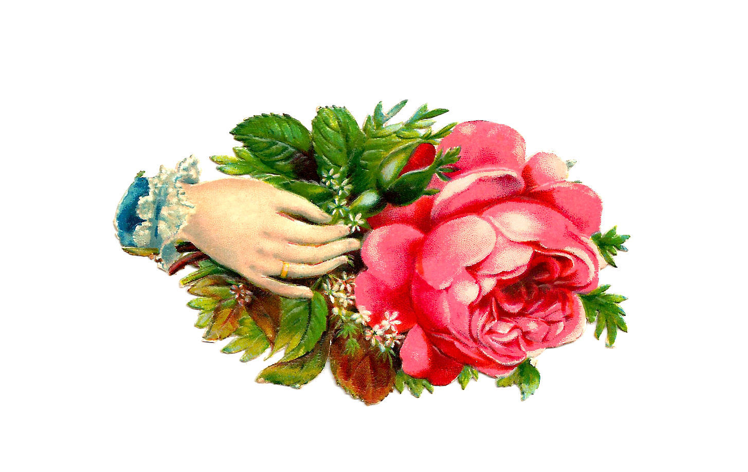 victorian flowers clipart - photo #22