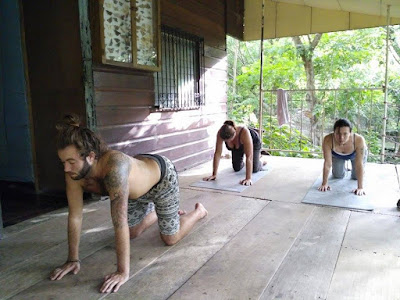 yoga yoga
