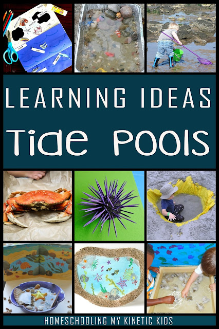 Learn about tide pools, especially the ones on the Pacific Coast with these fun books, toys, and educational activities.