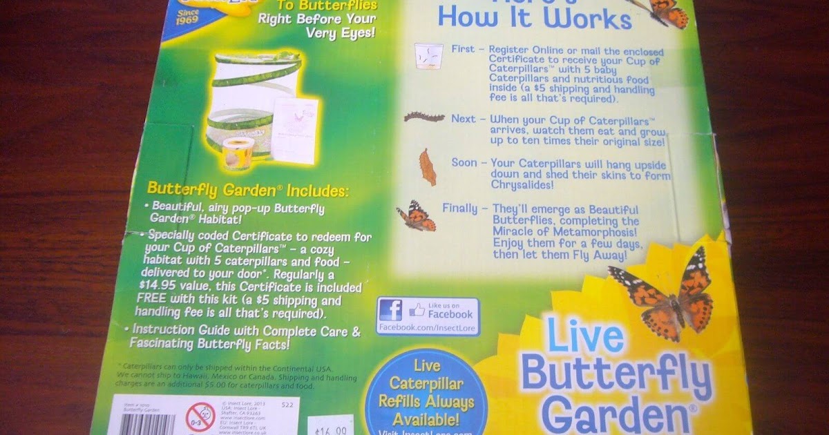 FREE Butterfly Care & Handling Guides Free Samples & Freebies