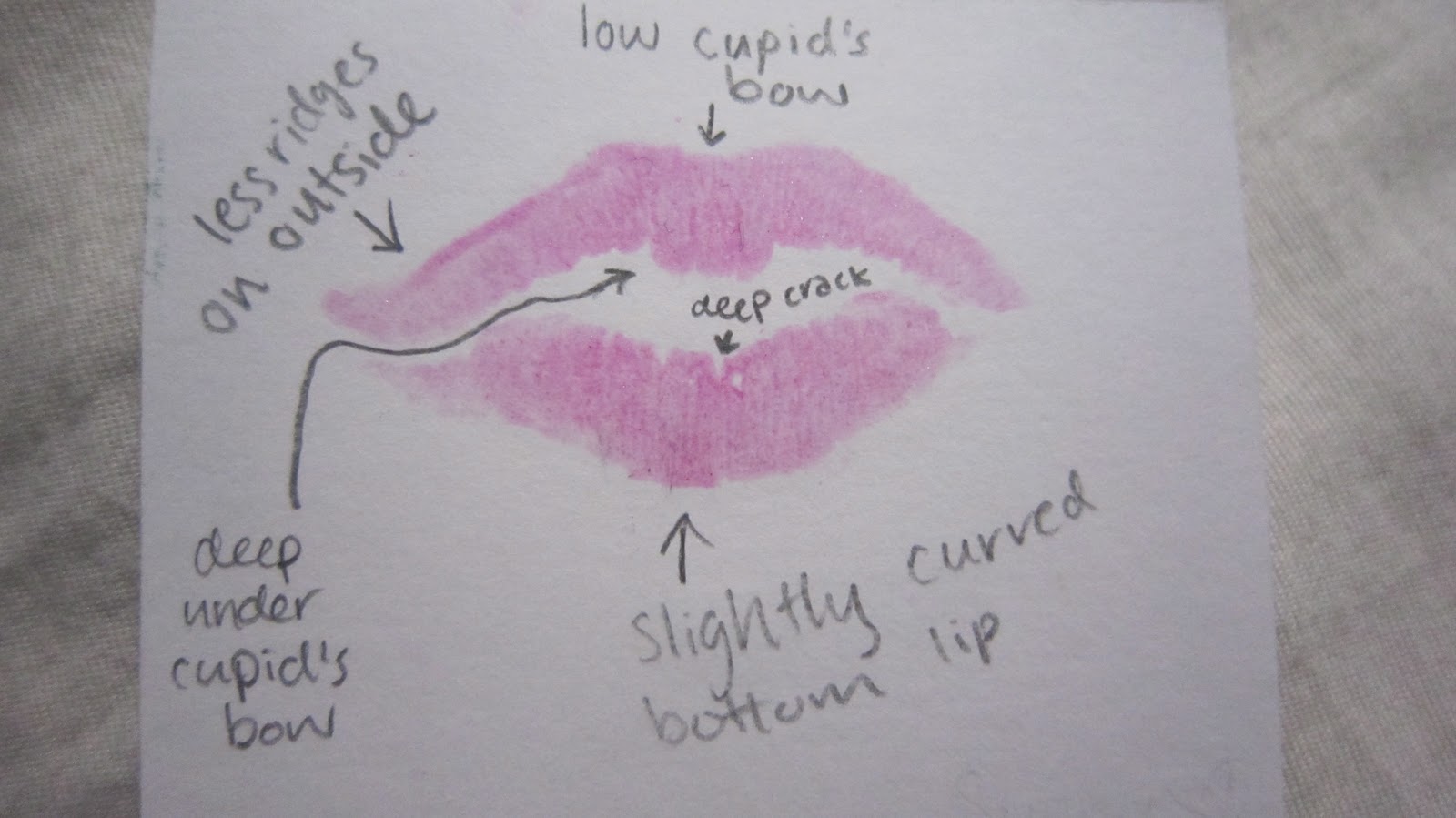 forensics-blog-testing-lip-print-analysis