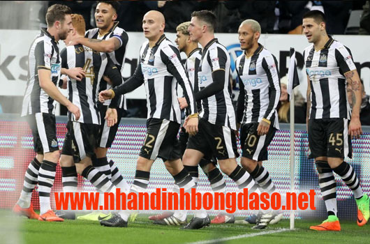 Cardiff City vs Newcastle 18h30 ngày 18/08 www.nhandinhbongdaso.net Cardiff City vs Newcastle 18h30 ngày 18/08 www.nhandinhbongdaso.net