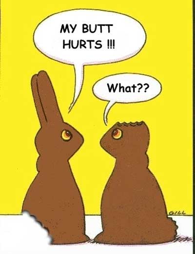 [Image: easter+bunny+funny+sorry_433247.jpg]