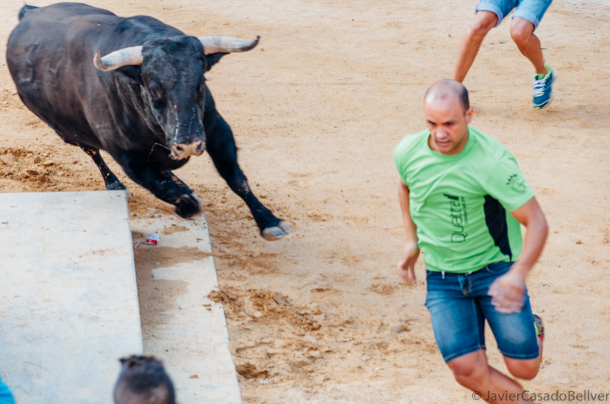 toros en Valencia