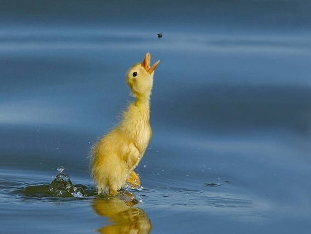 Perfect Timing HD Photography