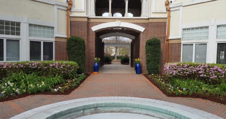 commercial landscaping goes beyond grass cutting services grass cutting companies