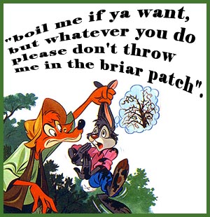 Uploaded Image
