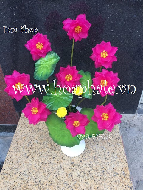 Hoa đá pha lê ở Vĩnh Tuy Hoa da pha le o Vinh Tuy