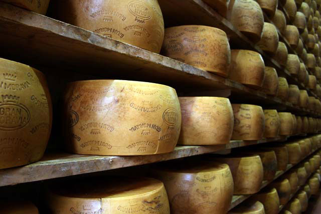 il formaggio gran moravia e la filiera ecosostenibile