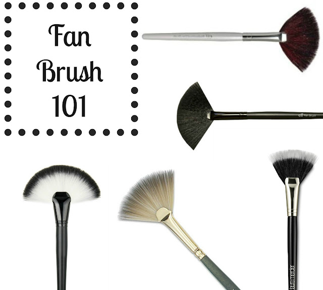 Fan Brush 101 How to Use the Fan Makeup Brush The Chrysalis Gal