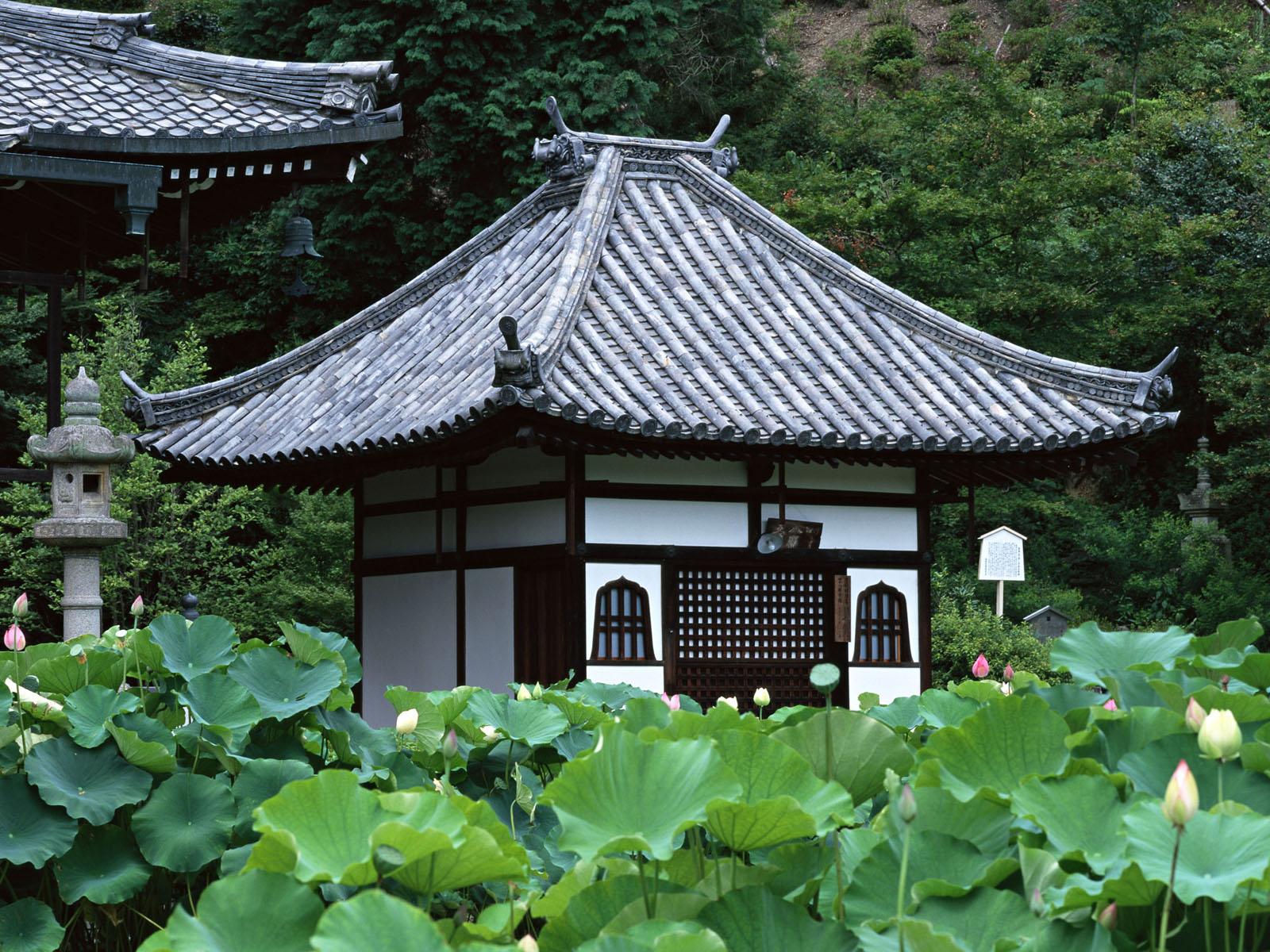Серый дом на китайском. Матия архитектура Киото. Минка Япония. Минка дом в Японии. Архитектура Японии Минка.