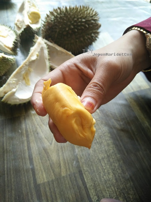Kuantan jejak durian sampai ke dusun. Kuantan jejak durian sampai ke dusun.
