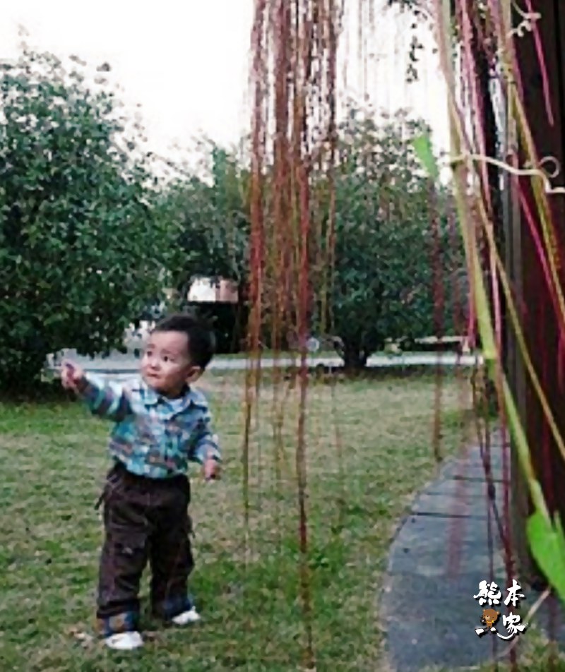 南投集集古蹟景點|武昌宮|明新書院