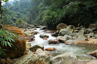 air panas ciparay bogor