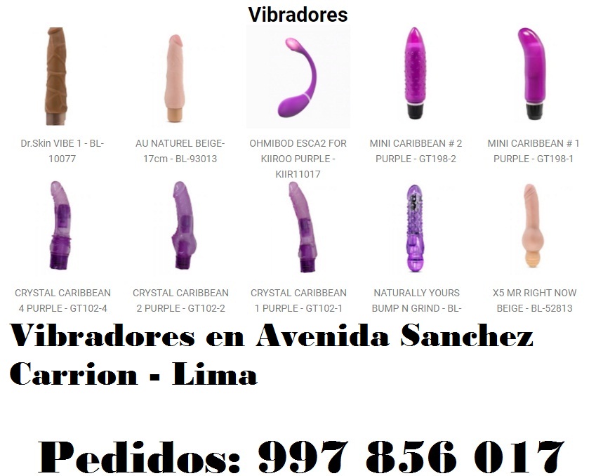 en Avenida Sanchez Carrion - Lima