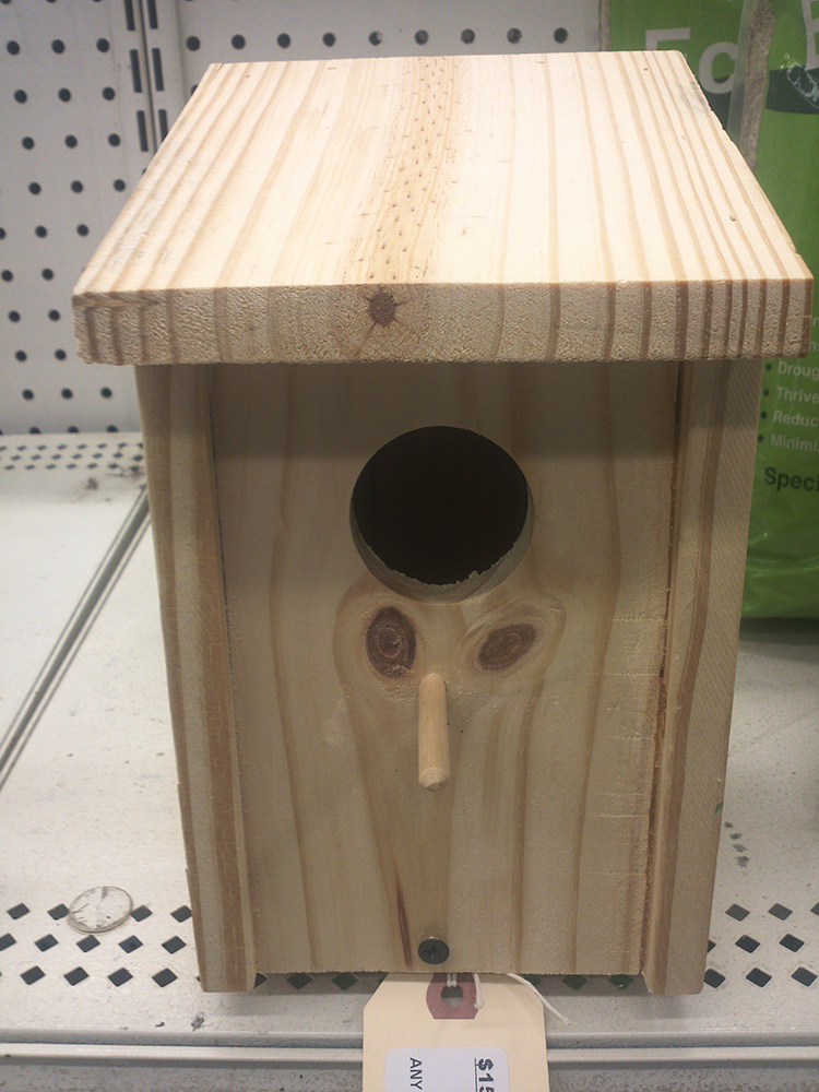 Bird In Everything: Birds House