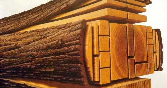 FARUSAC REMOTO: Madera de aserradero y cálculos.