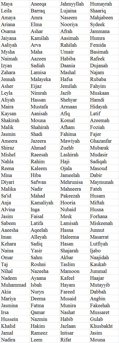 muslim boy names with s
