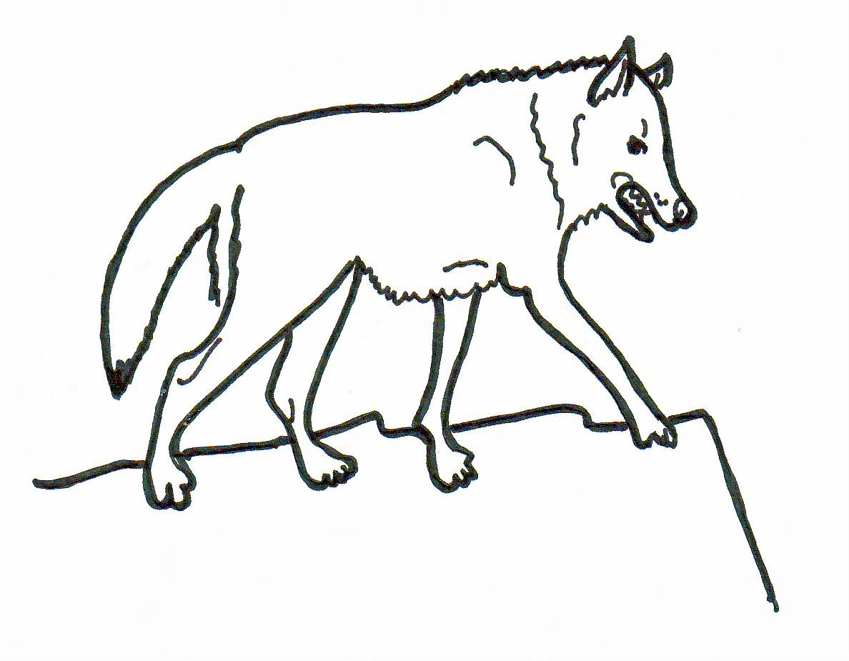 Életem és Érzelmem: Állatokat rajzoltam