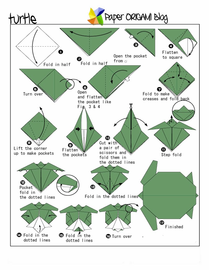 Unique Origami Turtle Origami Paper Origami Guide