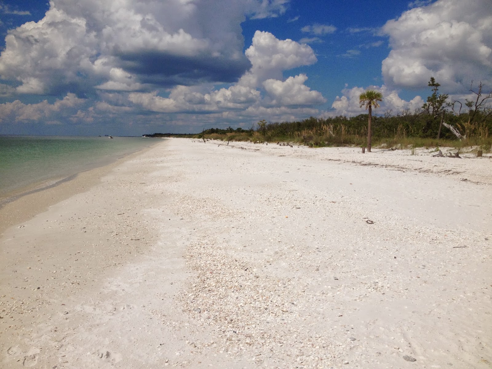Florida Gunkholer Keewaydin Island between Naples and Marco Island Florida