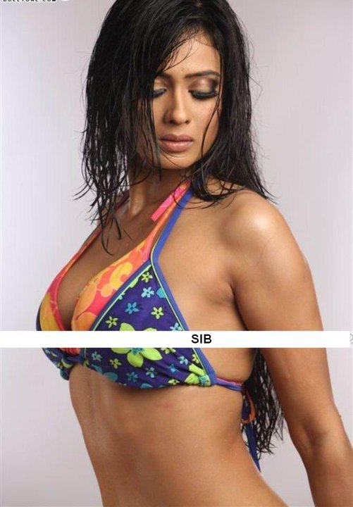 Shweta Tiwari bigg boss