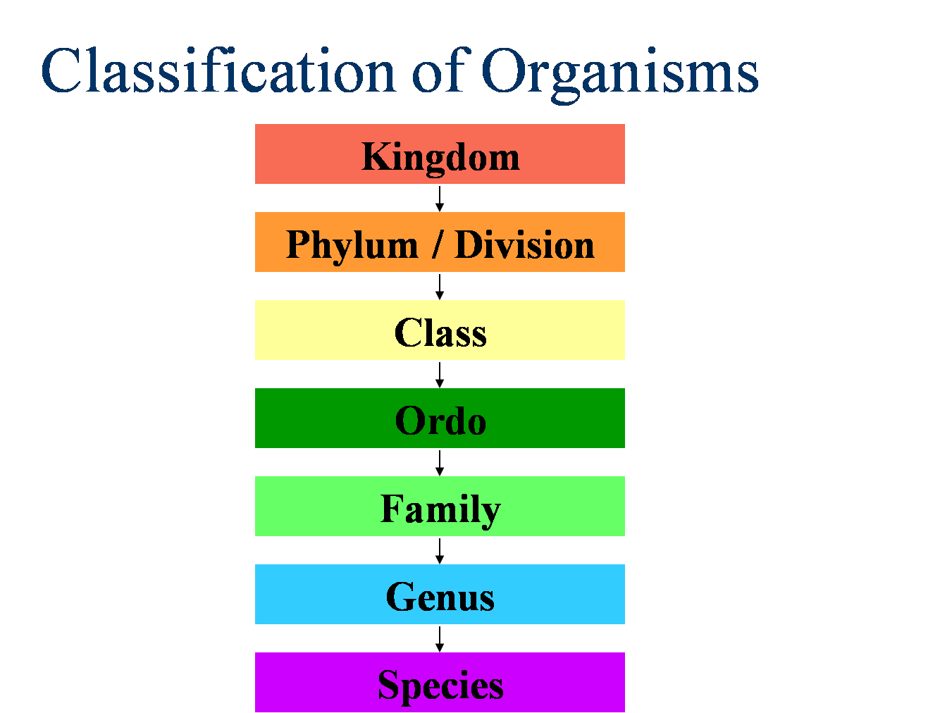 Classification system. Kingdom Phylum class order Family genus species. Linnaean classification. Linnaeus classification. Linnean System of classification.