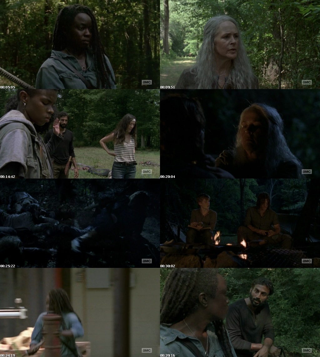Watch Online free The Walking Dead S09E07 Full Episode Download The Walking Dead (S09E07) Season 9 Episode 7 Full English Download 720p 480p