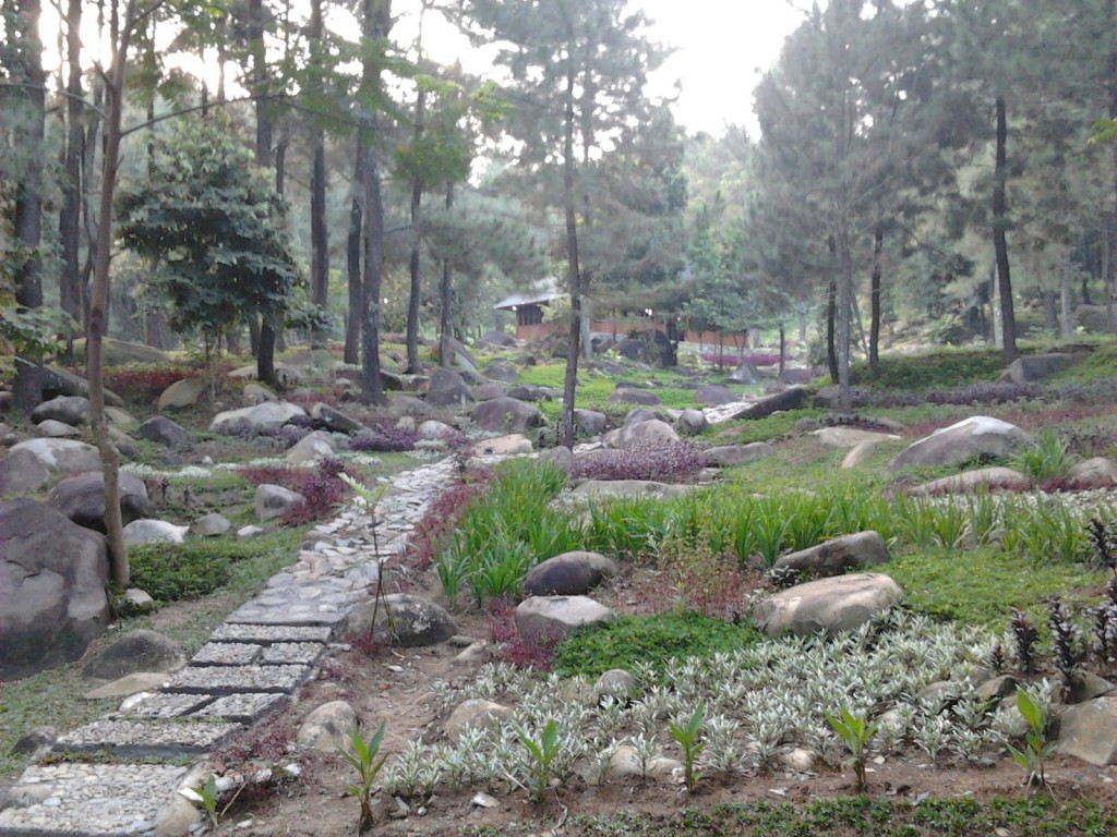 Tempat Wisata di Bogor Objek wisata Gunung Pancar
