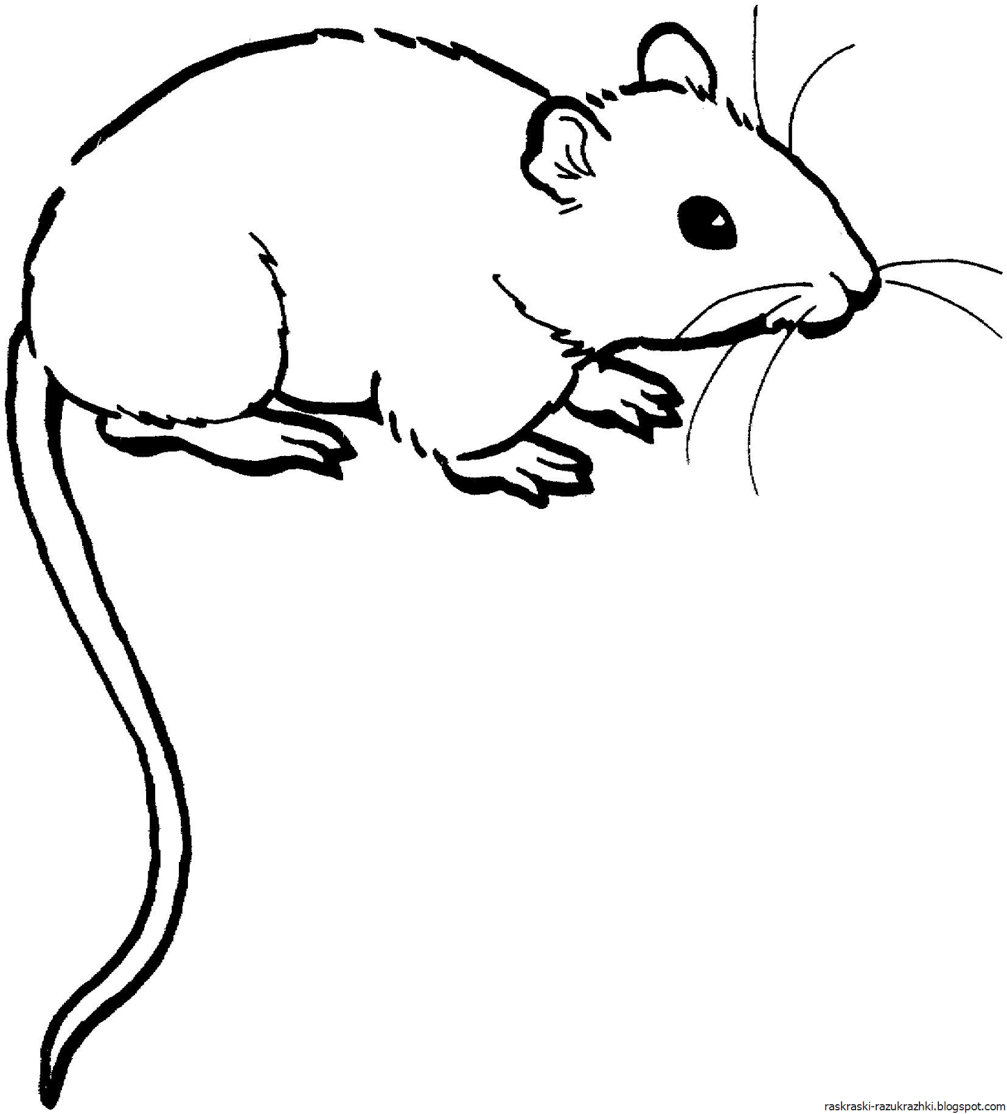 Раскраска мышь распечатать. Раскраска мышка. Мышь раскраска для детей. Мышка раскраска для детей. Мышка рисунок для детей.