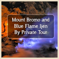 Bromo and Blue Fire Ijen By Private Tour Bromo and Blue Fire Ijen By Private Tour