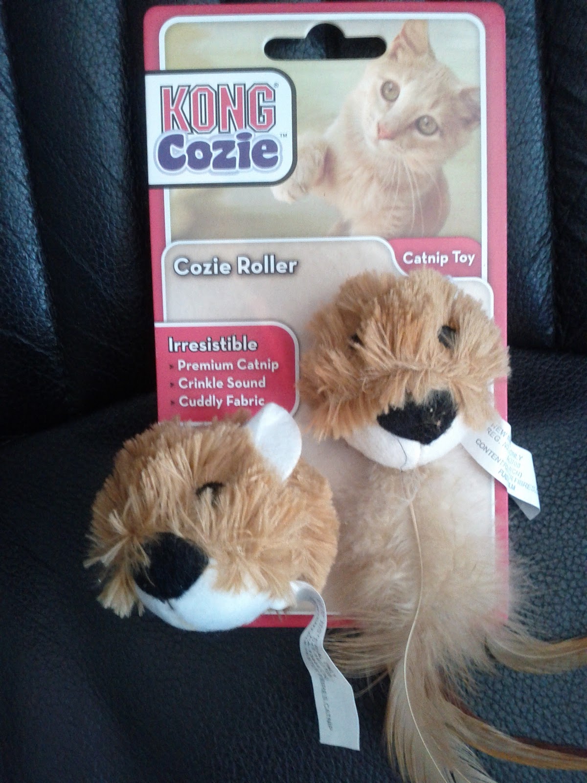 Cat and DOG Chat With Caren: New Cat Toys from KONG, "Cozies"