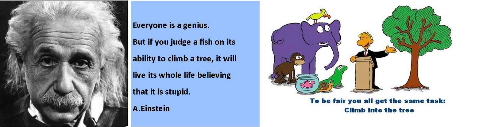 Its ability. Its ability. You are genius. Quotes about genius. Everyone is a genius but if you.