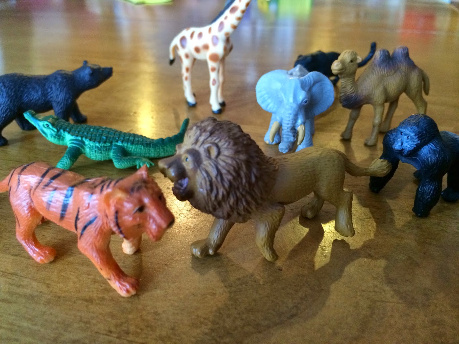 fox and gypsy DIY Safari