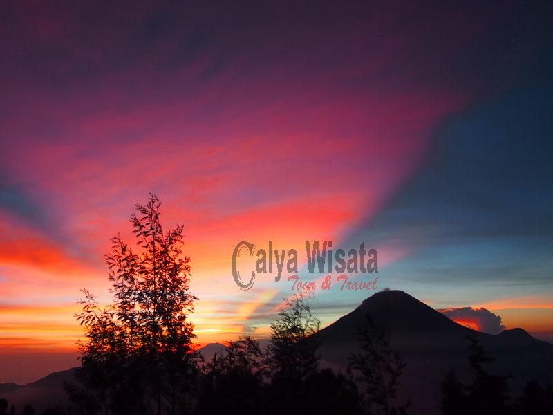 Golden Sunrise Sikunir Golden Sunrise Sikunir