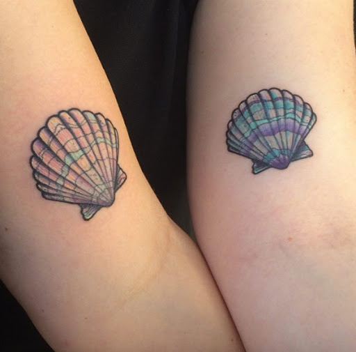 Estes pastel conchas