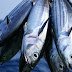 SRF-Fisheries Recruitment Central Institute Of Fisheries Education