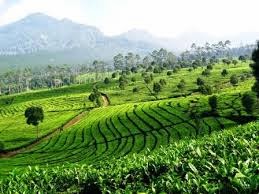 paket offroad yang murah di daerah Lembang http://vilaistanabungavilage.blogspot.com/2014/09/paket-offroad-yang-murah-di-lembang.html