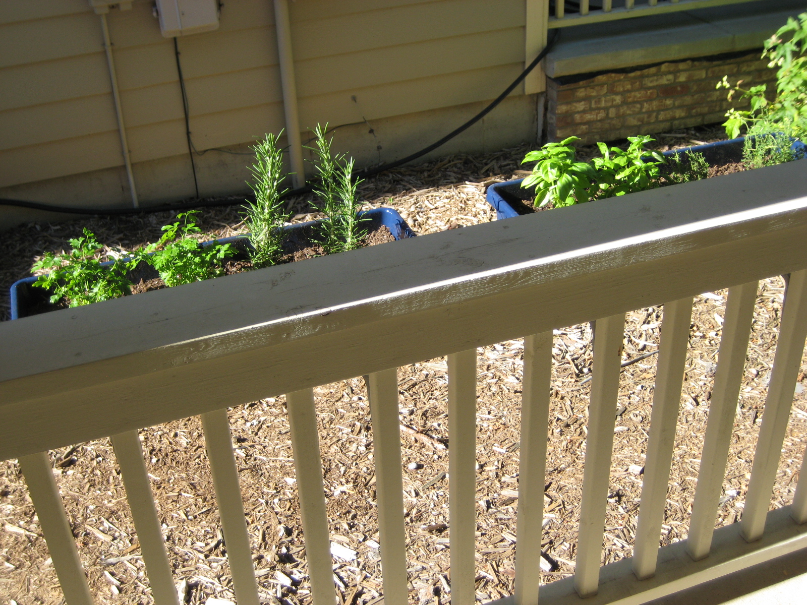 Handmade Homebody Window Box Herb Garden