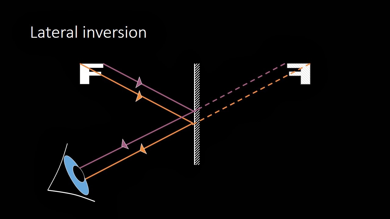 iGCSE Physics Reflection