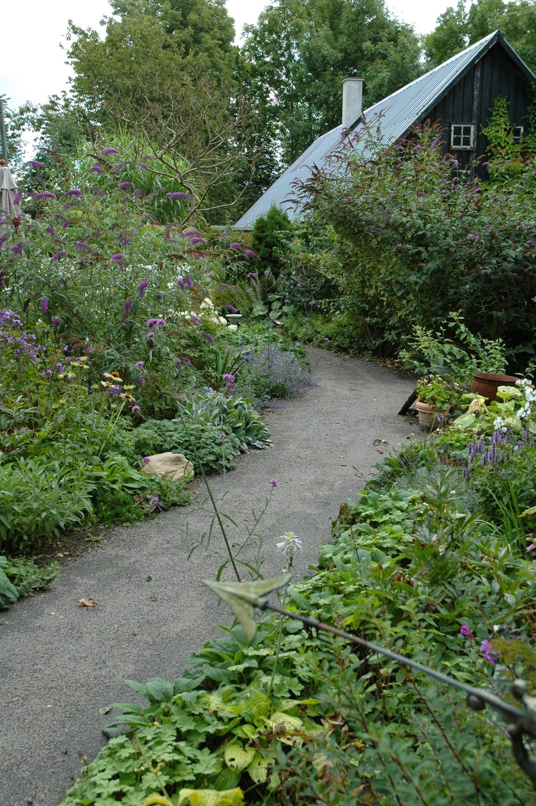 HAVETID Skønne Bornholm i sensommersol.
