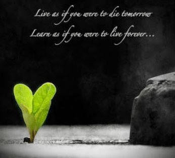 life quotes wallpapers