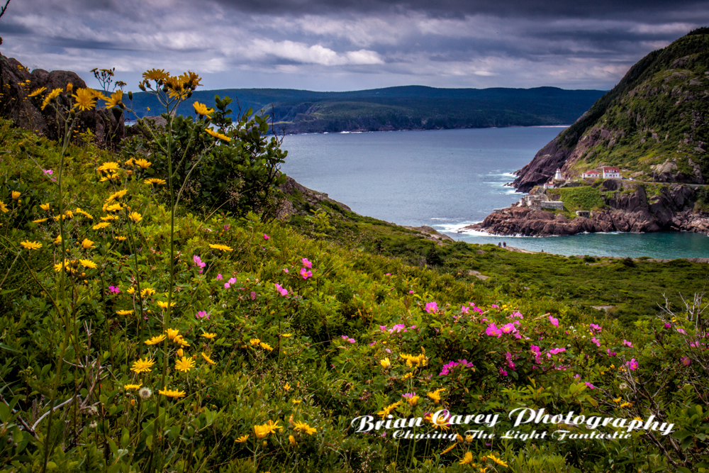 St John's Newfoundland photography by Brian Carey