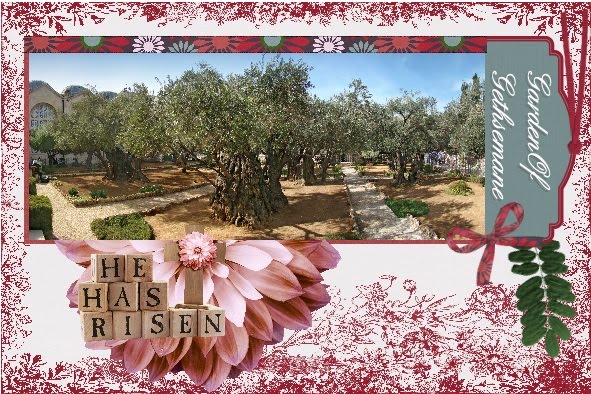 lo 2 - March 2016 - Garden of Gethsemane